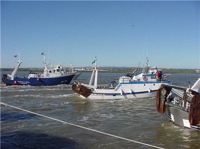 barcos-en-el-puerto-de-ayamonte