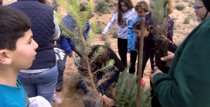 Centros educativos de Isla Cristina plantan pinos en sus playas