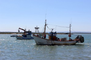 Las cuotas europeas ponen en riesgo al sector del arrastre del Golfo de Cádiz