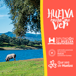 Diputación Turismo Huelva tiene mucho que ver - cerdo